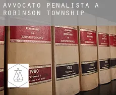Avvocato penalista a Robinson Township