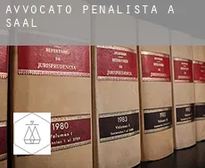 Avvocato penalista a  Saal