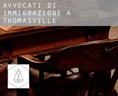Avvocati di immigrazione a Thomasville