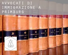 Avvocati di immigrazione a  Primburg