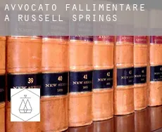 Avvocato fallimentare a Russell Springs