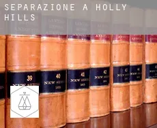 Separazione a Holly Hills