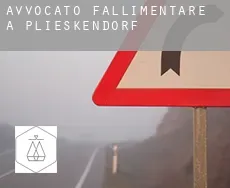 Avvocato fallimentare a  Plieskendorf