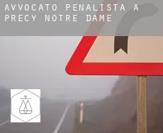 Avvocato penalista a Précy-Notre-Dame