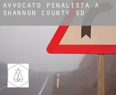 Avvocato penalista a Shannon County