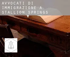 Avvocati di immigrazione a Stallion Springs