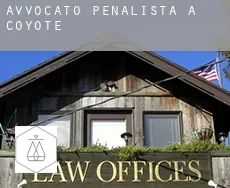 Avvocato penalista a Coyote