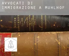 Avvocati di immigrazione a  Mühlhof