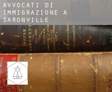 Avvocati di immigrazione a  Saronville