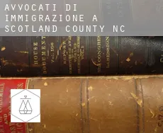 Avvocati di immigrazione a Scotland County