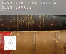 Avvocato penalista a  Glen Savage