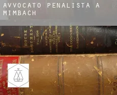 Avvocato penalista a  Mimbach