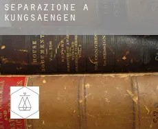 Separazione a Kungsängen