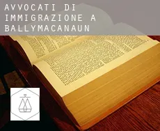 Avvocati di immigrazione a  Ballymacanaun