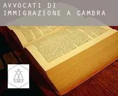 Avvocati di immigrazione a Cambra