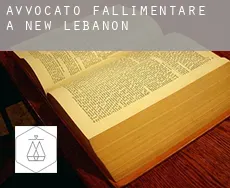 Avvocato fallimentare a  New Lebanon