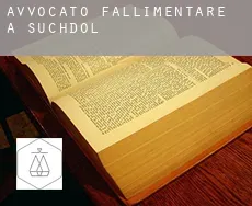 Avvocato fallimentare a Suchdol