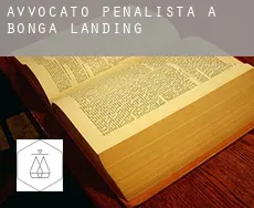 Avvocato penalista a  Bonga Landing