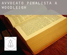 Avvocato penalista a  Woodleigh