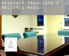 Avvocato penalista a Melchris Wood