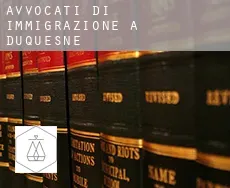 Avvocati di immigrazione a Duquesne