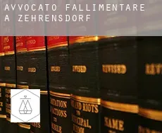 Avvocato fallimentare a  Zehrensdorf