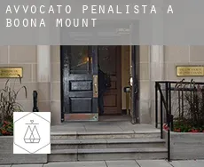Avvocato penalista a Boona Mount