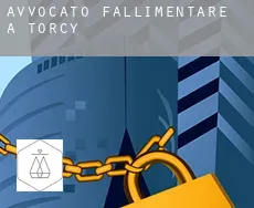 Avvocato fallimentare a Torcy