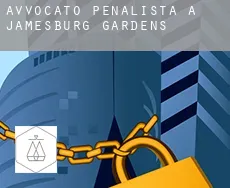 Avvocato penalista a  Jamesburg Gardens
