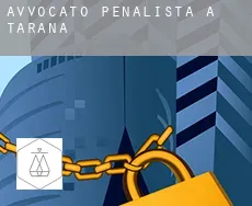 Avvocato penalista a Tarana