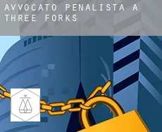 Avvocato penalista a Three Forks