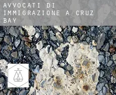 Avvocati di immigrazione a  Cruz Bay