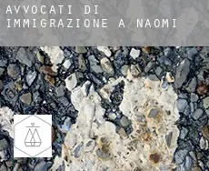 Avvocati di immigrazione a  Naomi