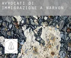 Avvocati di immigrazione a  Narvon