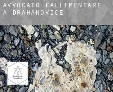 Avvocato fallimentare a Drahanovice