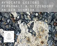 Avvocato lesioni personali a Sitzendorf an der Schmida