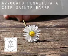 Avvocato penalista a Cité-Sainte-Barbe