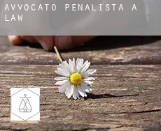 Avvocato penalista a  Law