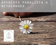 Avvocato penalista a Netherwood