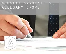 Sfratti avvocati a  Allegany Grove