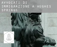 Avvocati di immigrazione a Hughes Springs