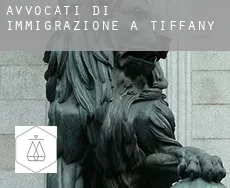 Avvocati di immigrazione a  Tiffany
