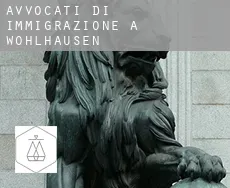 Avvocati di immigrazione a Wohlhausen