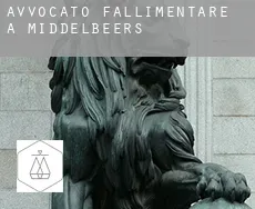 Avvocato fallimentare a Middelbeers