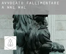 Avvocato fallimentare a Wal Wal