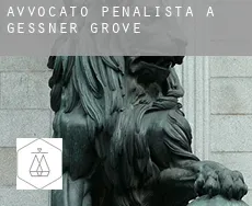 Avvocato penalista a  Gessner Grove