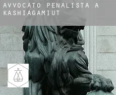 Avvocato penalista a Kashiagamiut
