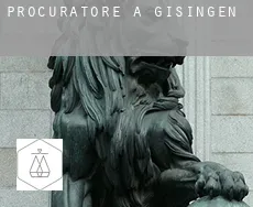 Procuratore a  Gisingen