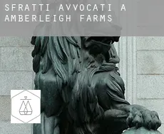 Sfratti avvocati a  Amberleigh Farms