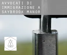 Avvocati di immigrazione a Saybrook Manor